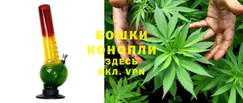 Бошки марихуана THC 21%  Бугульма 